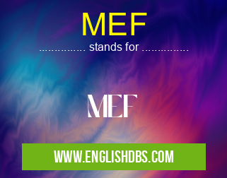 MEF