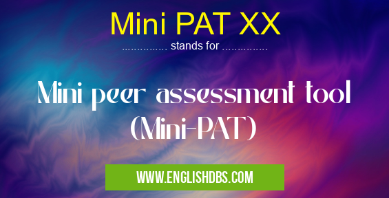 Mini PAT XX