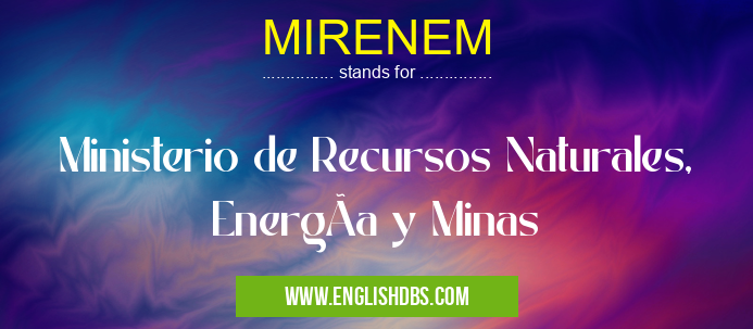 MIRENEM