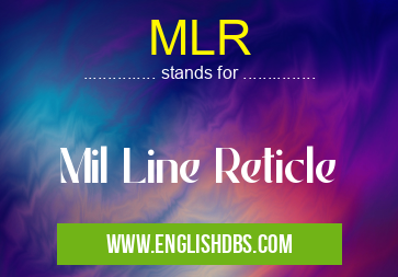 MLR