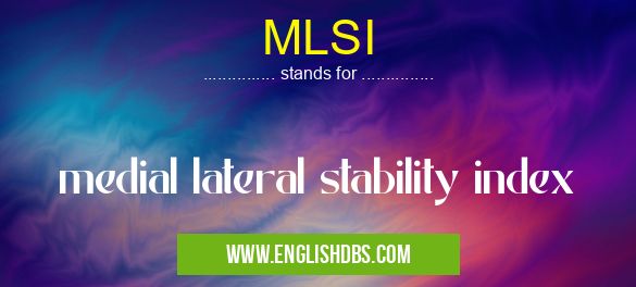 MLSI