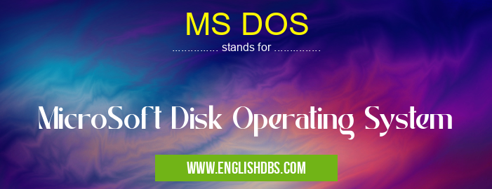 MS DOS