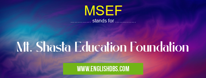 MSEF