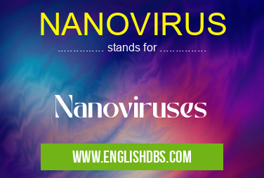 NANOVIRUS