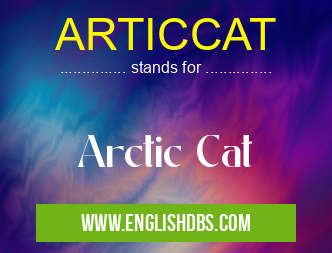 ARTICCAT