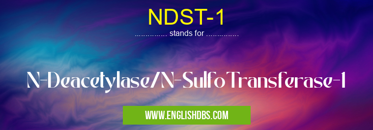 NDST-1