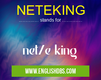 NETEKING