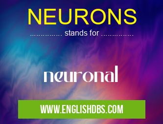 NEURONS