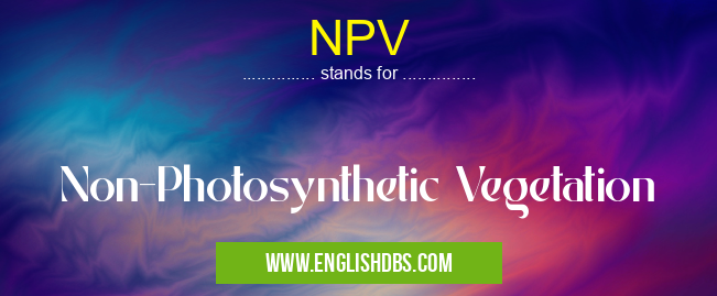 NPV