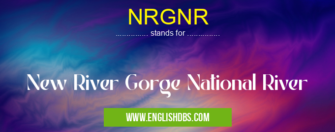 NRGNR