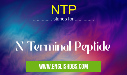 NTP