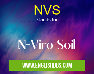 NVS