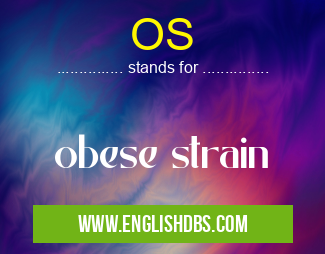 OS