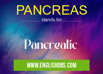 PANCREAS