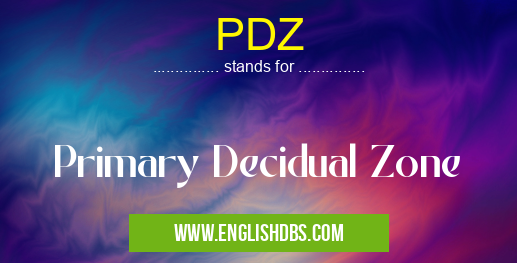 PDZ