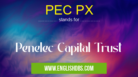 PEC PX