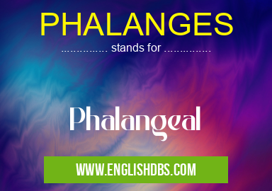 PHALANGES