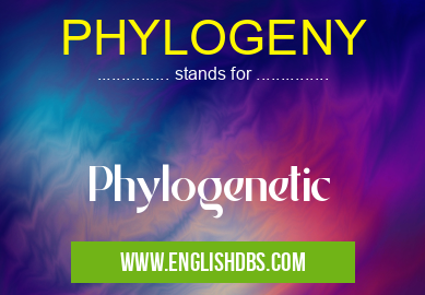 PHYLOGENY