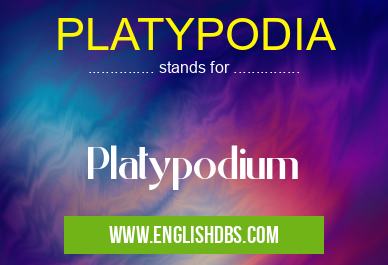 PLATYPODIA