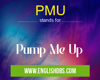 PMU