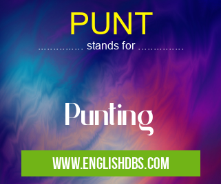 PUNT