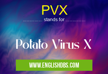 PVX