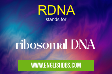 RDNA