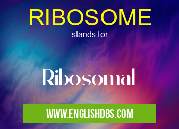 RIBOSOME