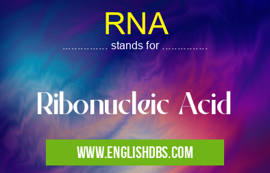 RNA