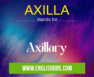 AXILLA