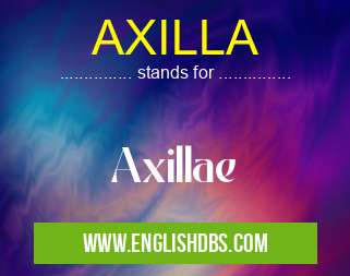 AXILLA