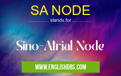 SA NODE