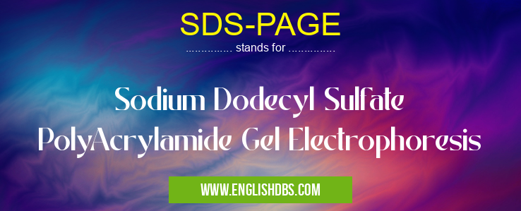 SDS-PAGE