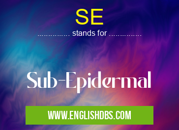 SE