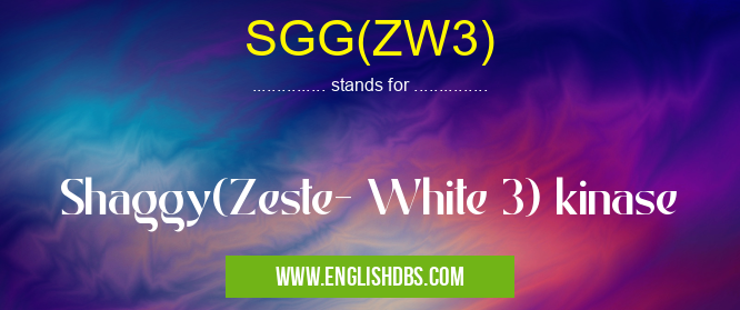 SGG(ZW3)