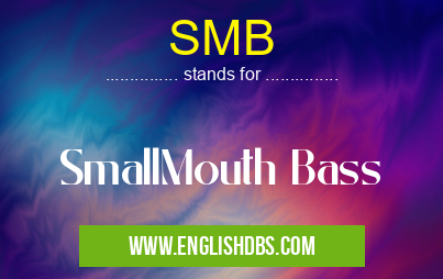 SMB