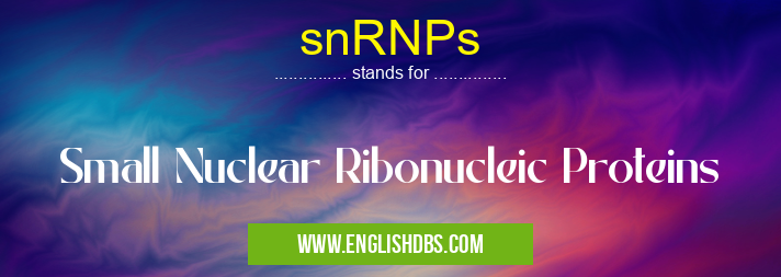 snRNPs