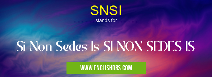 SNSI