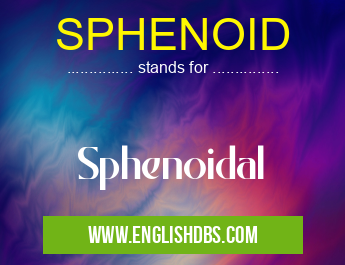 SPHENOID