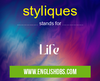 styliques