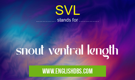 SVL