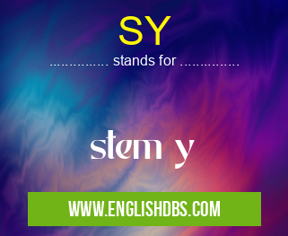 SY