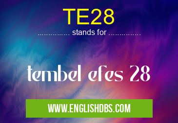 TE28