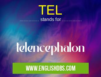 TEL