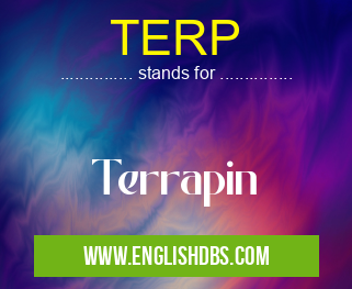 TERP