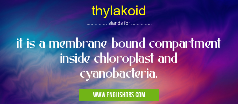 thylakoid