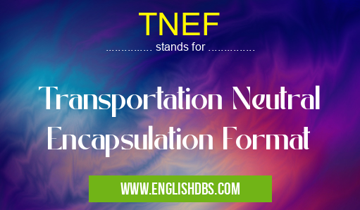 TNEF