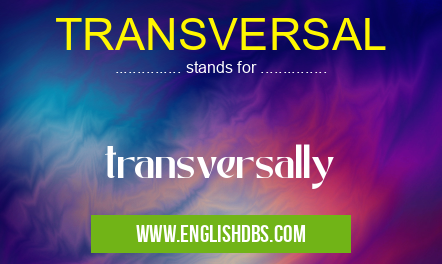 TRANSVERSAL