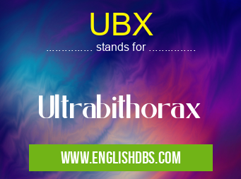 UBX