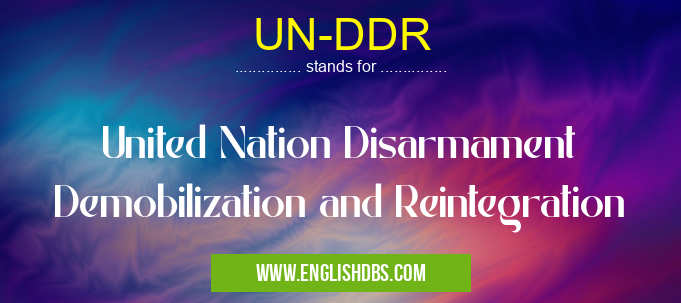 UN-DDR